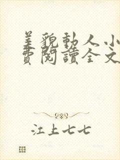 美貌动人小说免费阅读全文封面