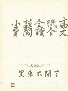 小说全职高手免费阅读全文无窗口