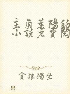 主角叶阳的官场小说免费阅读