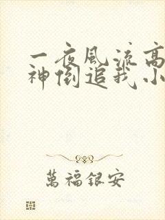一夜风流高冷女神倒追我小说免费阅读无弹窗封面