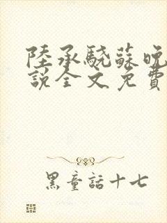 陆承骁苏晚晴小说全文免费阅读最新