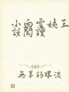 小向雪姨王浩小说阅读