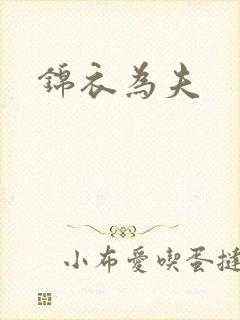 锦衣为夫封面