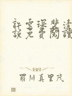 许云琛裴清欢小说免费阅读无弹窗
