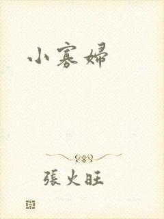 小寡妇封面