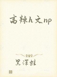 高辣h文np封面