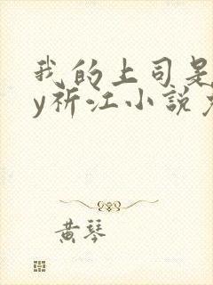我的上司是网by祈江小说免费阅读