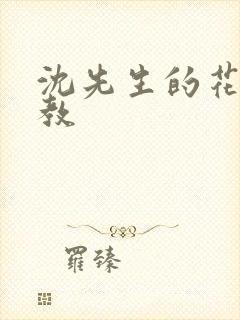 沈先生的花式管教封面
