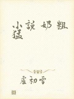 小说 奶 粗 猛