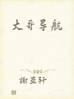 大哥导航
