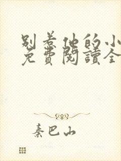 别惹他的小可怜免费阅读全文