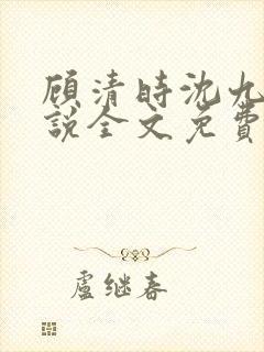 顾清时沈九笙小说全文免费阅读全文