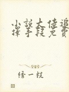 小说大佬追妻不择手段免费阅读