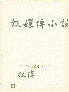 甄嬛传小说