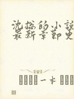 沈总的小说全文最新章节更新