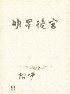 明星后宫