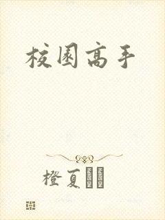 校园高手
