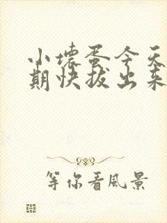 小坏蛋今天危险期快拔出来