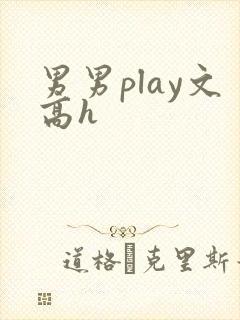 男男play文高h