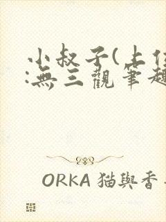 小叔子(上位):无三观笔趣阁封面