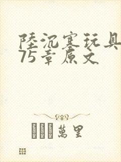 陆沉塞玩具高速75章原文