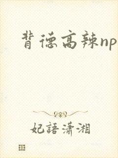 背德高辣np文