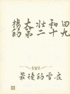 杨大壮和田桂花的第二十九