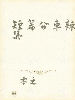 短篇公车辣文合集