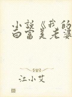 小说《我的总裁白富美老婆》