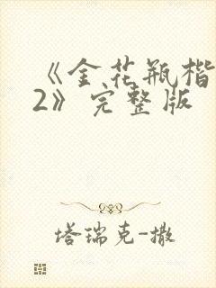 《金花瓶楷梅花2》完整版