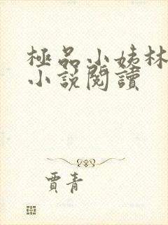极品小姨林浩云小说阅读