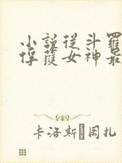 小说从斗罗开始俘获女神最新章节
