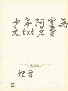 少年阿宾无删全文txt免费