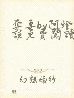 夺妻by阿灯小说免费阅读笔趣阁封面