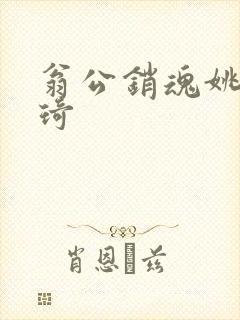 翁公销魂姚瑶琦琦封面