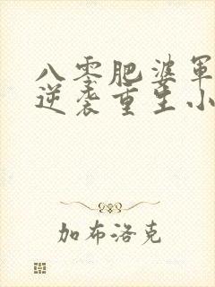 八零肥婆军嫂的逆袭重生小说