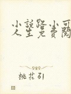 小说路小可风流人生免费阅读