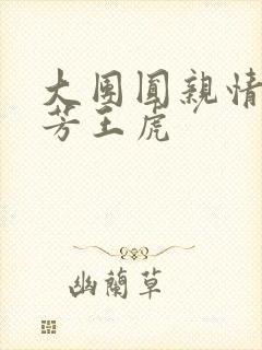 大团圆亲情会王芳王虎封面