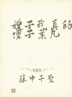 嫂子我真的不是傻子叶凡