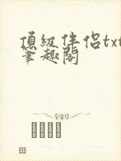 顶级伴侣txt笔趣阁封面