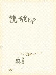 觊觎np