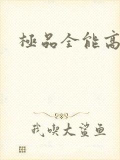 极品全能高手