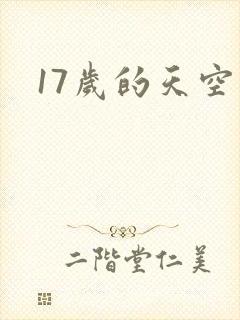 17岁的天空封面