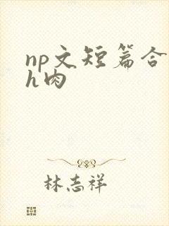 np文短篇合集h肉