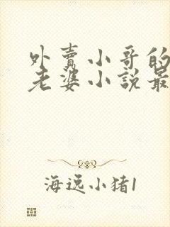 外卖小哥的总裁老婆小说最新