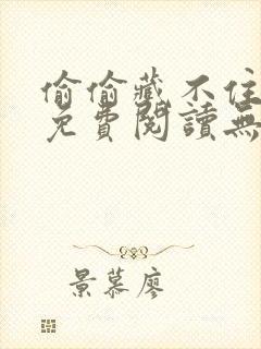 偷偷藏不住全文免费阅读无删减