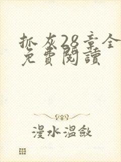 抓灰28章全部免费阅读