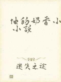 他的奶香小仙女 小说