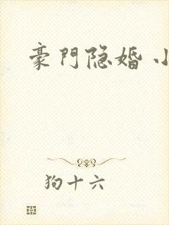 豪门隐婚 小说