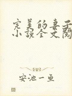 完美的妻子赵岚小说全文阅读